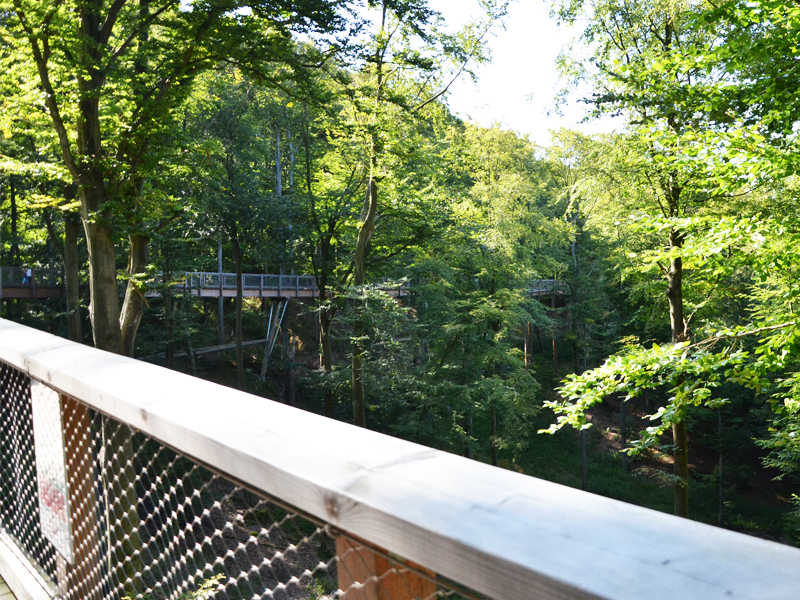 Baumwipfelpfad Prora